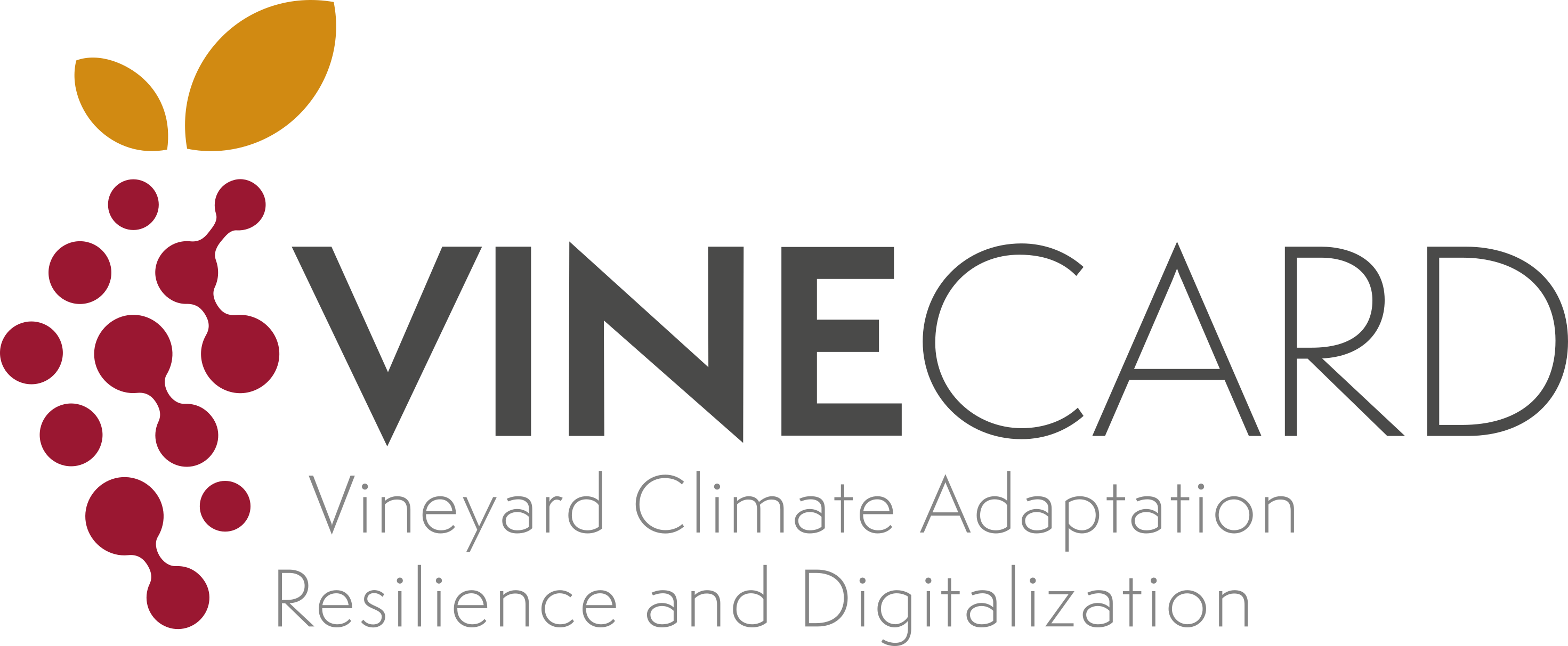 VineCARD